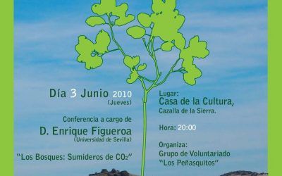 Una Bellota, una Encina