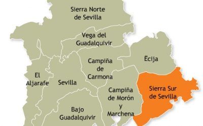 Reunión en Estepa para la organización de las VIII Jornadas de Historia sobre la provincia de Sevilla a celebrar en los días 25 y 26 de marzo de 2011 y dedicadas a la Sierra Sur en los siglos XIX y XX