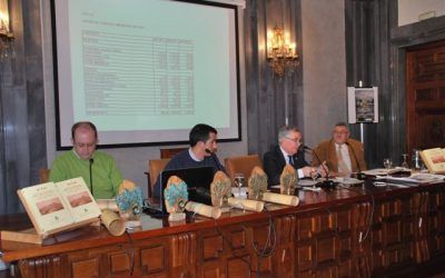 PRESENTACIÓN EN LA CASA DE LA PROVINCIA DE LAS ACTAS DE LAS IX JORNADAS DE HISTORIA SOBRE LA PROVINCIA DE SEVILLA “EL BAJO GUADALQUIVIR ENTRE LOS SIGLOS XVIII Y XX”, DEL CARTEL DE LAS X JORNADAS DE HISTORIA “PASADO Y PRESENTE DE LA DIPUTACIÓN DE SEVILLA