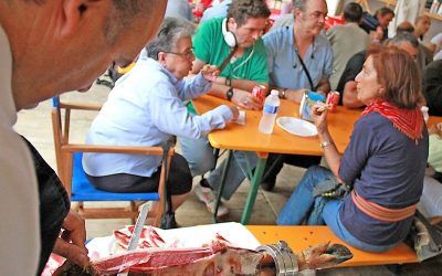 SOLIDARIDAD ACTIVA DEL FESTIVAL DE LAS NACIONES CON TIERRA DE HOMBRES Y EL PROYECTO MIGUEL DE MAÑARA