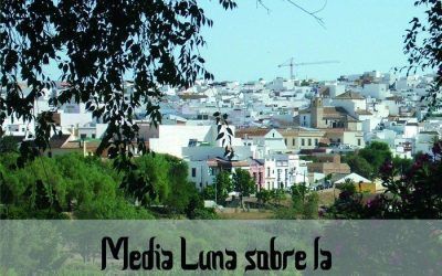 PRESENTACIÓN DEL LIBRO «MEDIA LUNA SOBRE LA MONTAÑA DE LA DICHA: UN RECORRIDO POR EL VISO ANDALUSÍ»
