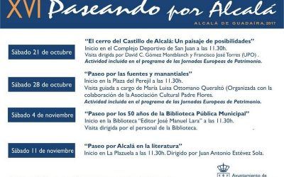 ASOCIACIÓN CULTURAL AMIGOS DE LA HISTORIA PADRE FLORES