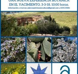 VISITA AL JARDÍN ARQUEOLÓGICO DE LA NECRÓPOLIS