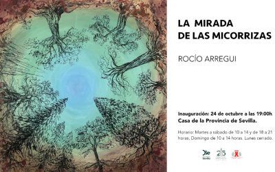 Exposición «La mirada de las micorrizas», de Rocío Arregui