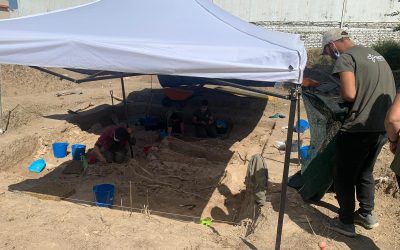 COMIENZAN LOS TRABAJOS DE EXHUMACIÓN COMPLETA DE LA FOSA DE LA ALGABA, DONDE YACEN LOS RESTOS DE 144 PRESOS POLÍTICOS DEL CAMPO DE LAS ARENAS